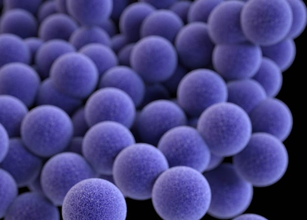 mrsa-better-625.jpg