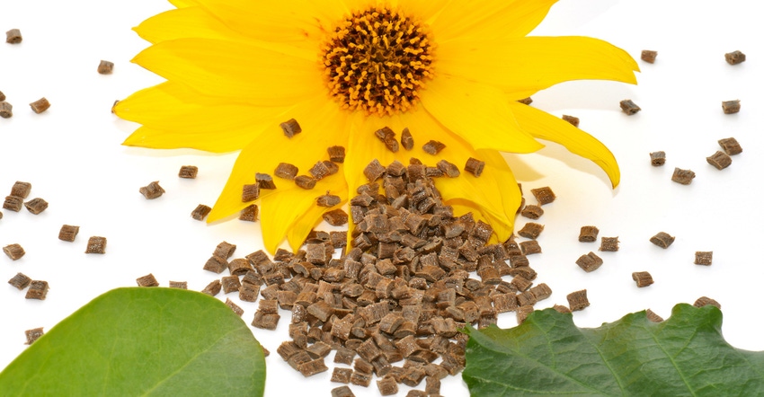 biopolymer with sunflower and leaves