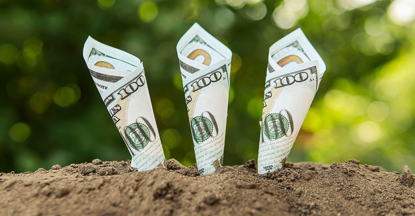 hundred-dollar bills growing in soil
