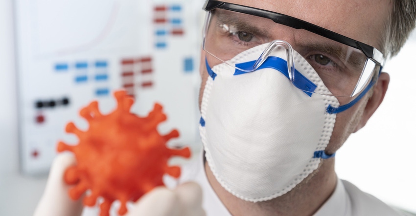 doctor with KN95 mask examining model of COVID-19 virus