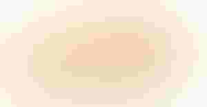 Alamy-Collins-SaraLee-Bagged-Bread-White-Background-2J2B3D7-1540x800.jpg