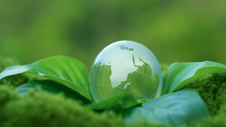 Research Highlights Environmental Risks of Hasty Plastic Substitution Policies
