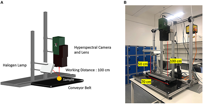 Hyperspectral Imaging Identifies Compostable Plastics for Recycling