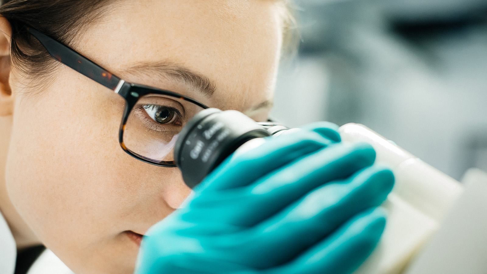 And the Ig Nobel Award Goes to Plastics Research by Way of Drunk Worms