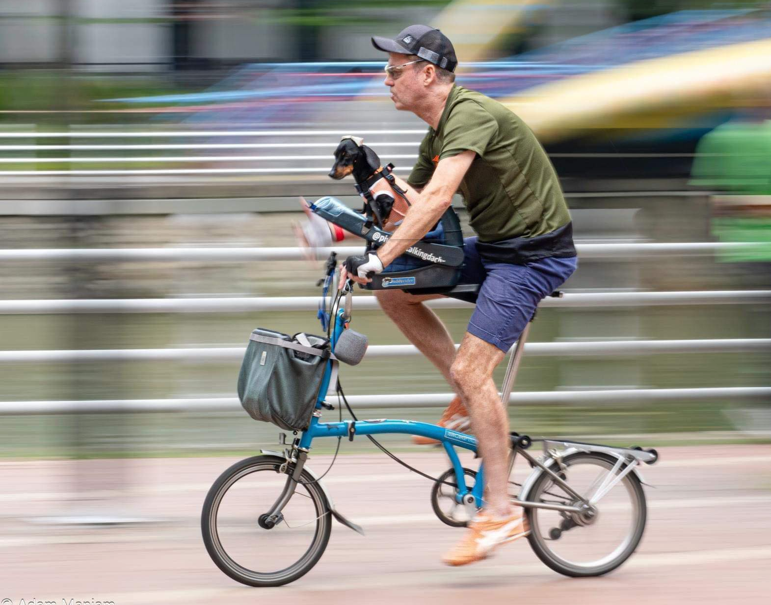 Picture of Stephen Moore