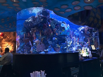 When acrylic aquariums fail