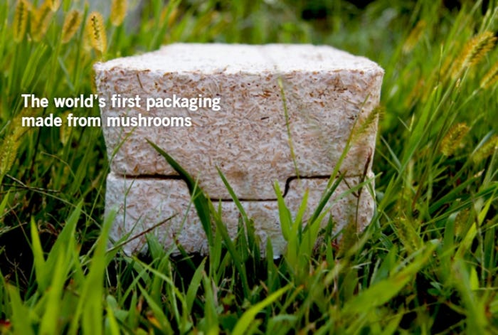 ecocradle-mushroom-packaging-green-purchasing-04-Aug-12.jpg