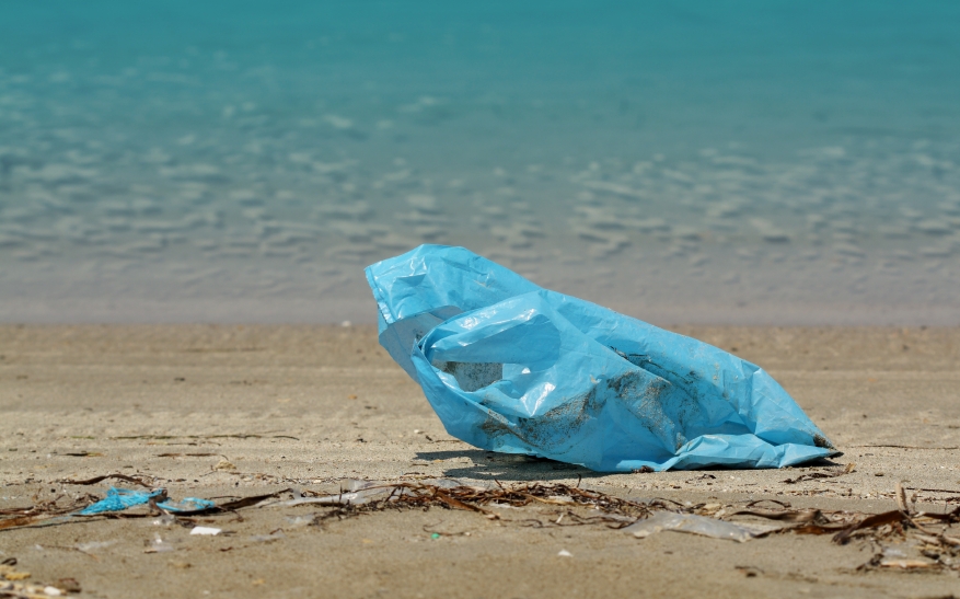 Plastic shopping bags Modern day tumbleweed