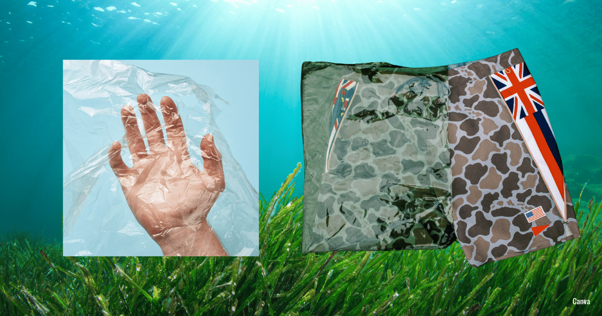 Seaweed Drives Biopolymer Innovation