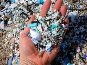 Biodegradable plastics were never designed to be a solution to marine litter