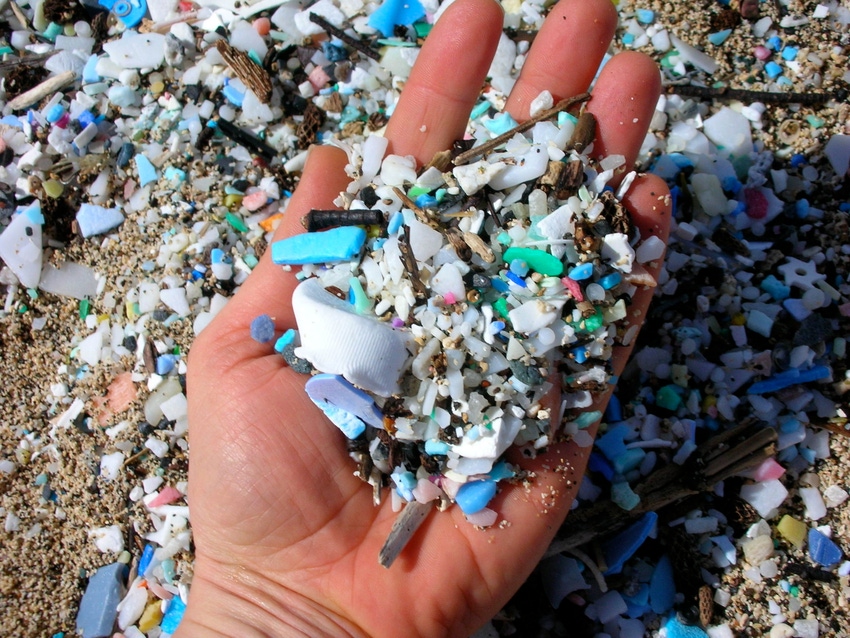 Biodegradable plastics were never designed to be a solution to marine litter