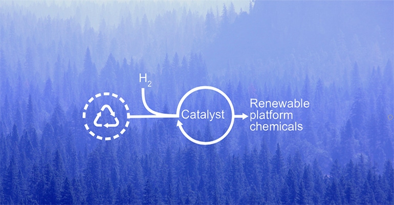 rendering of feedstock valorization through hydro cracking