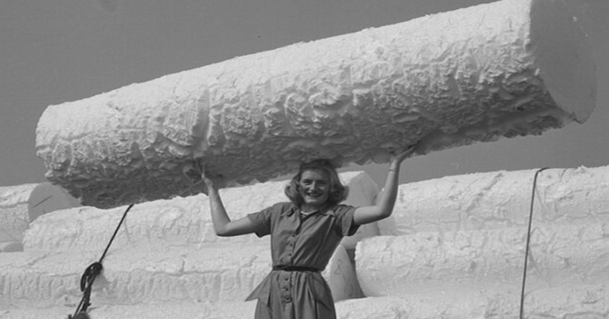 Polyster Fall Polystyrene Accident Sparked Plastic Evolution