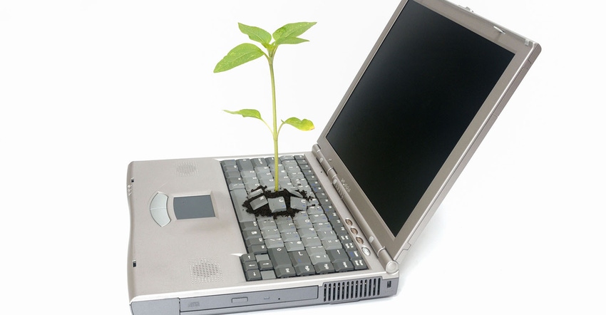 seedling growing out of laptop computer