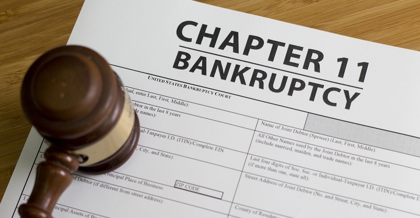 bankruptcy file and gavel