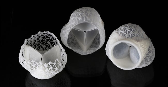 3D-printed heart valve and stent