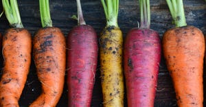Getty-Images-IStock-Carrots-1540x800.jpg