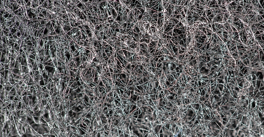 cellulose nanofibers