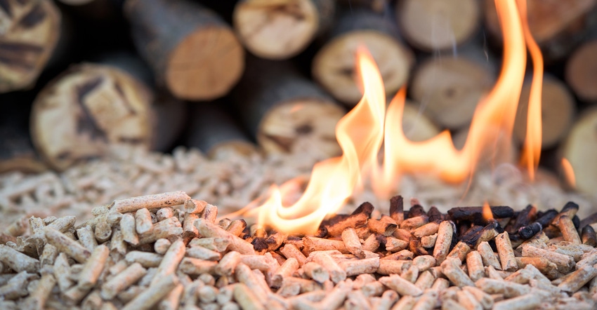 biomass with flame