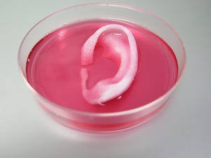 3D-printed-ear-structure-wake-forest