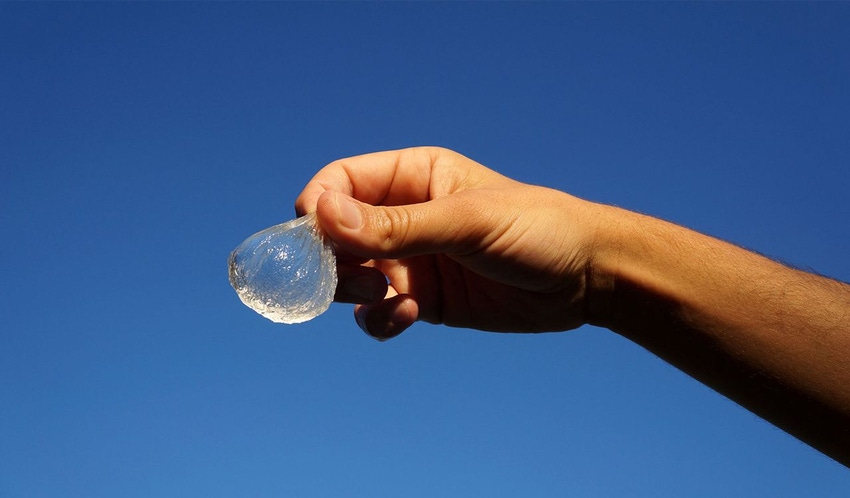 Sustainable, seaweed-based water bottles … you can eat?