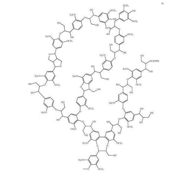 lignin_molecule.JPG