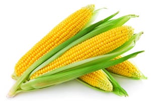corn-photomyheart-300.jpg