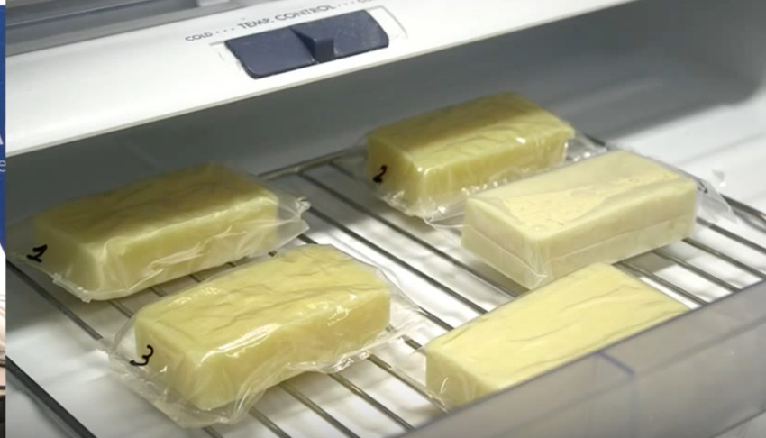 Milk-based film—a novel biodegradable, sustainable and edible packaging solution?