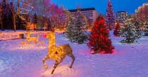 Christmas light display with Rudolph the Red-Nosed Reindeer