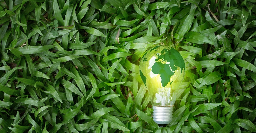 lightbulb with world map laying in field of grass