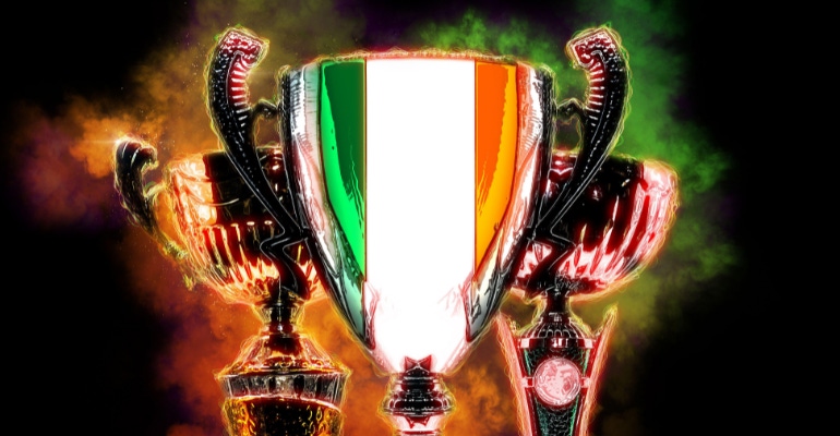 trophy cup with flag of Ireland, representing the Irish Medtech Awards
