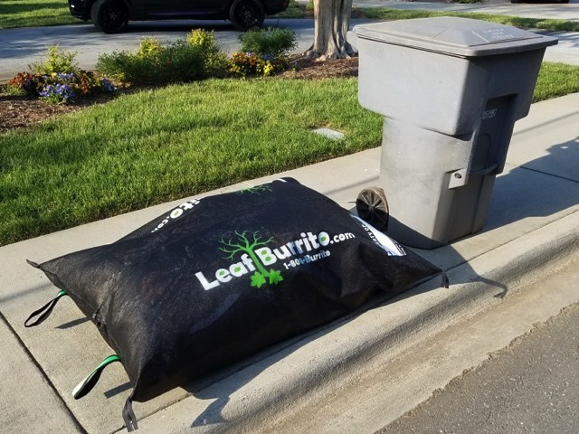 Reusable ‘Leaf Burrito’ bag satisfies hunger for sustainable packaging in North Carolina