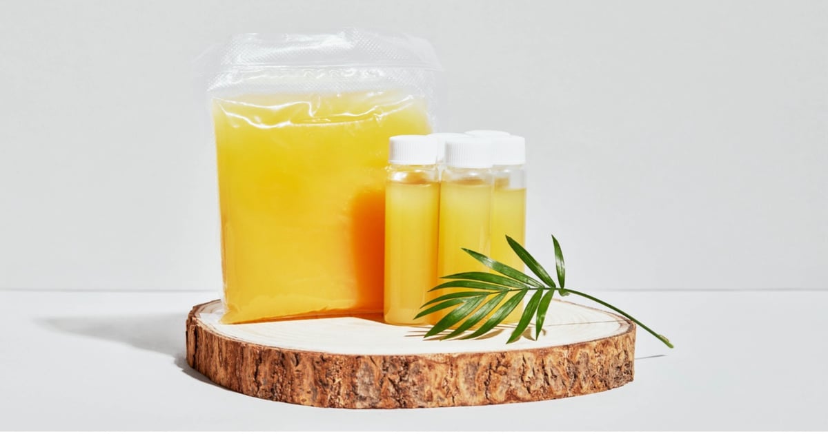 PHA-Based Hotmelt Adhesive Debuts in US