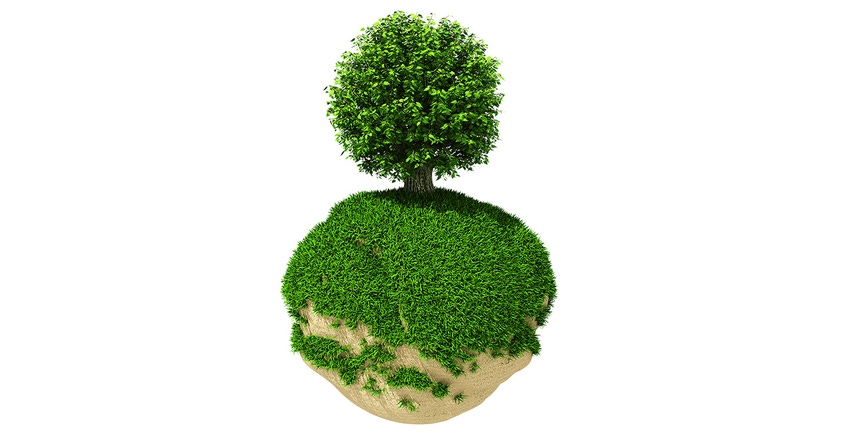tree growing on green planet