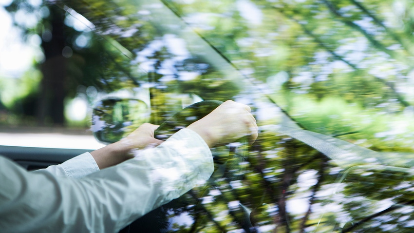 car in forest