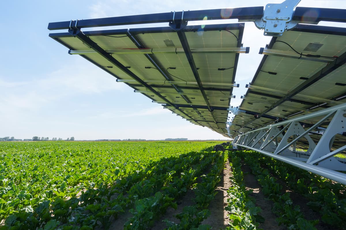 Ag Grid System Agricultural leader VOF Dogterom drives sustainable farming innovations ...