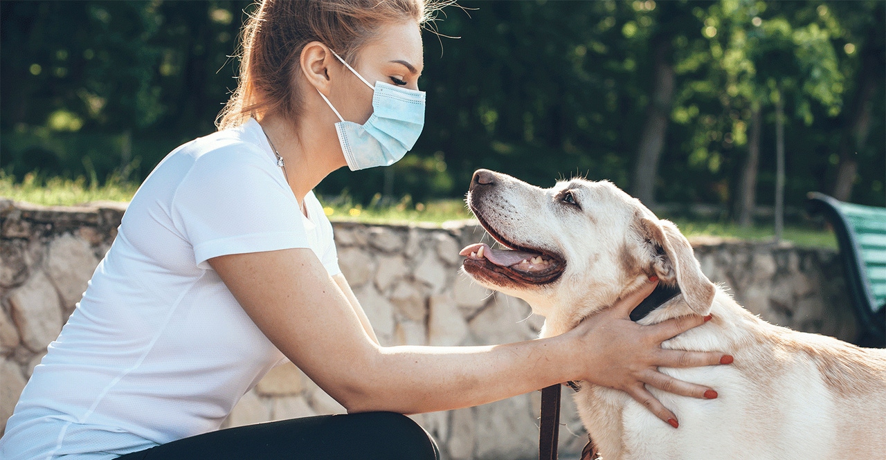 dog and owner coronavirus covid-19 pandemic supplements