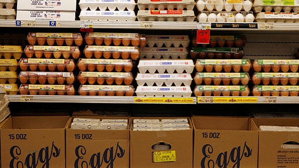 5@5: Cracking into nutrition research on eggs | Amazon adding private label supplements?