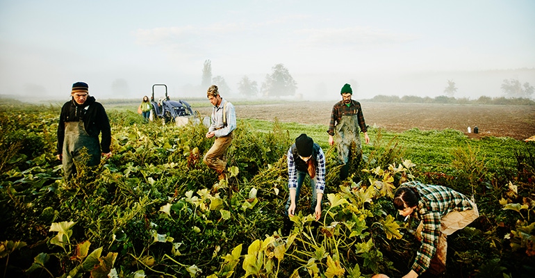 organic farmers organic farmers