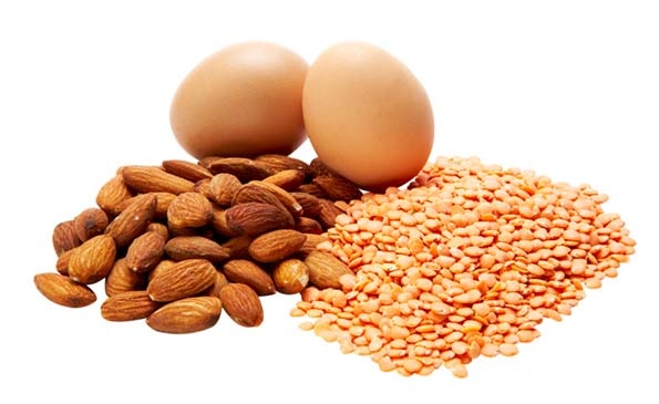 How retailers can help satisfy protein-hungry shoppers How retailers can help satisfy protein-hungry shoppers