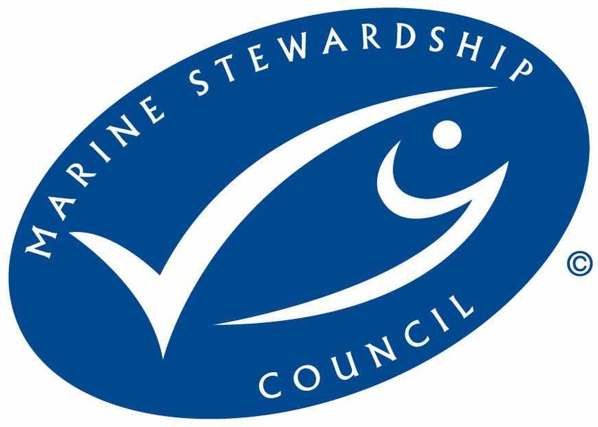 Olympic Seafood enters MSC assessment