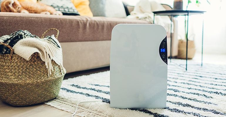 air-purifier.jpg air-purifier.jpg