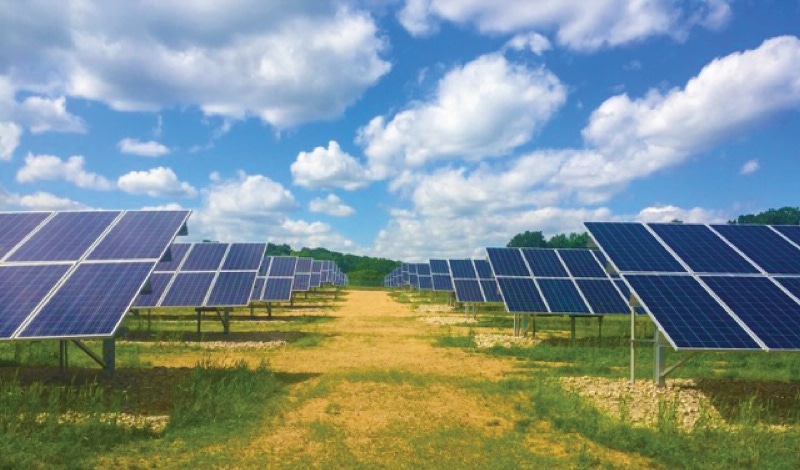 MOM's Organic Market embarks on solar power project