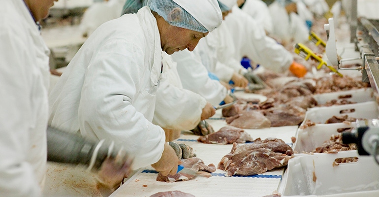 meat plant workers