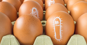 salmonella egg carton