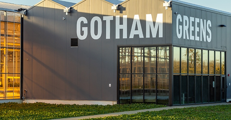 B Corp Certification a natural step for hydroponic grower Gotham Greens