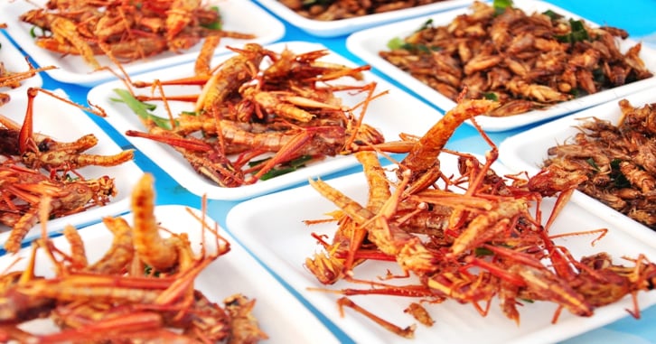 How to formulate products with insect protein. That's right—insect protein.