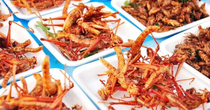 How to formulate products with insect protein. That's right—insect protein.