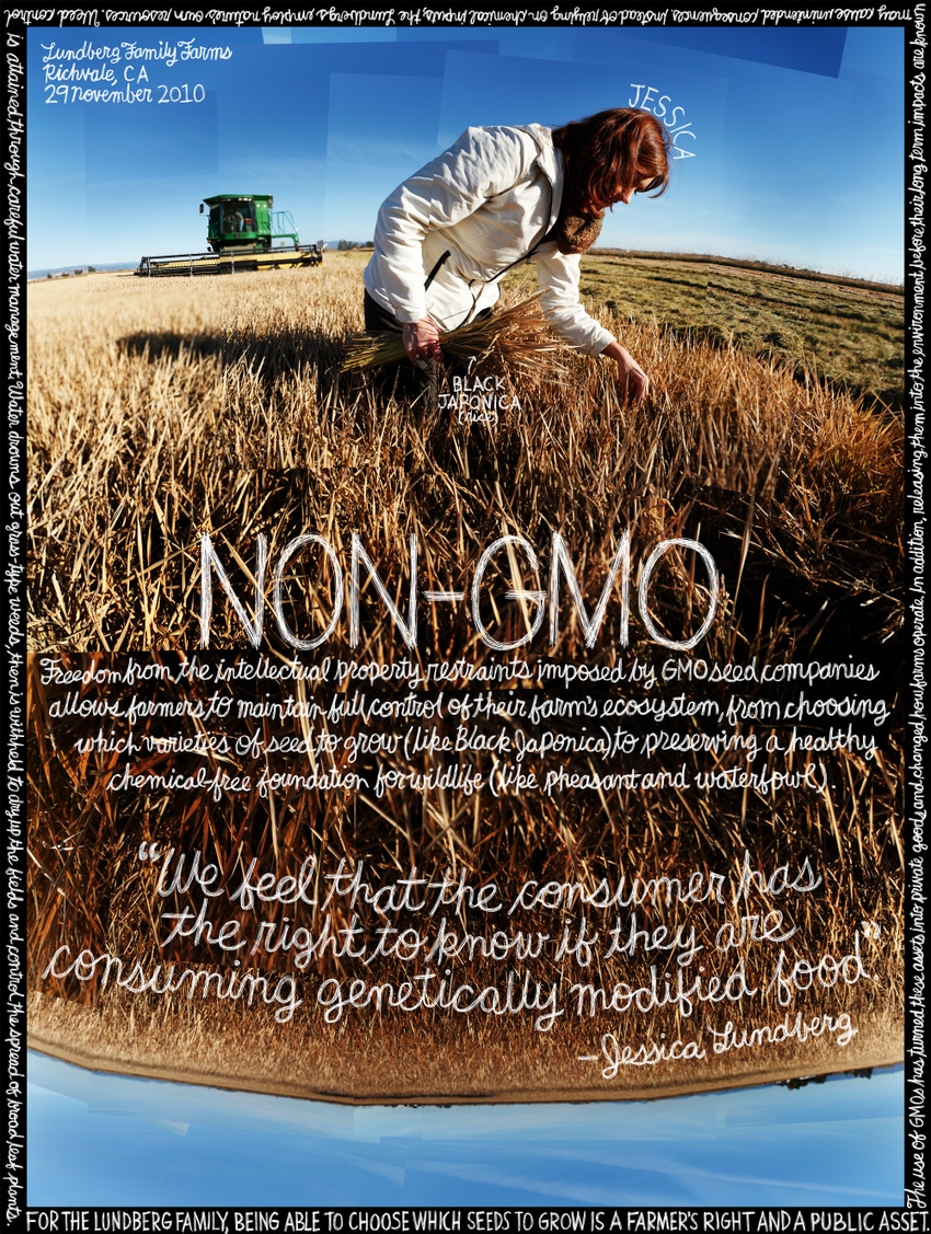 Watchword: GMOs