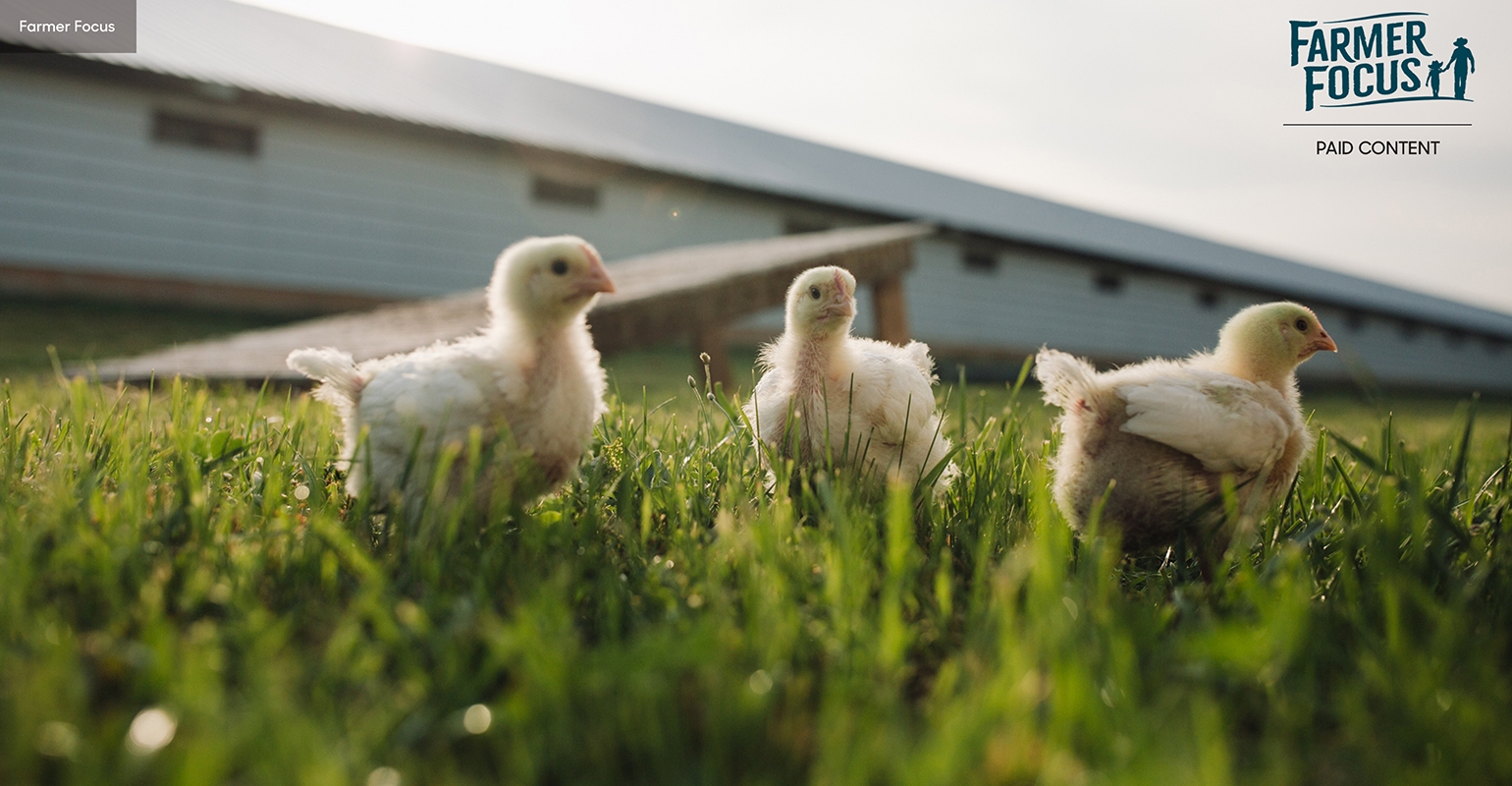 Order Farmer Focus Organic Chicken Wings